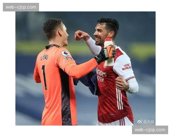 高位防线与越位陷阱 阿森纳防守组织策略解析